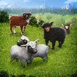 Tierhaltung in My Little Farmies